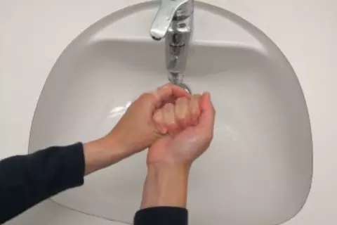washing hands step 5