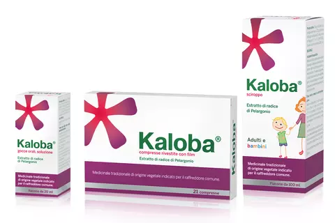 gruppo Kaloba base