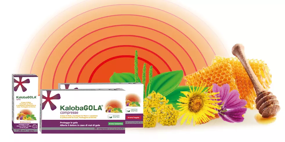 homepage kaloba gola