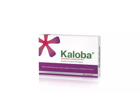 pack kaloba compresse