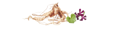 root